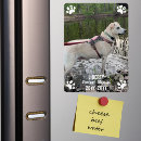 Recherche de pet memorial magnets Moderne