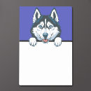 Suche nach husky post it Welpe