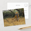 Suche nach wilde tiger postkarten Wildtierkunst
