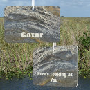 Recherche de crocodile photographie Alligators