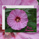 Recherche de bourgeon cartes postales Joli