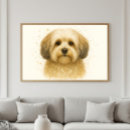 Suche nach havaneser poster Havanisch
