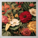 Suche nach botanische illustration poster Blume