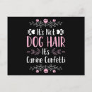 Recherche de chiens drôles cartes postales Amoureux de les chiens