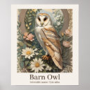 Recherche de barn owl posters Animal