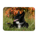 Recherche de panne magnets Carter