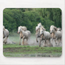 Suche nach pferd mousepads Superstock