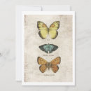 Recherche de collection de papillon invitations Papillons