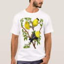 Recherche de chardonneret américain Birding