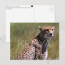 Suche nach gepard postkarten Afrika
