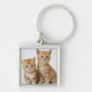 Recherche de deux chats porteclés Mignon