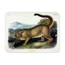 Recherche de puma magnets Pomme