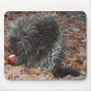 Suche nach reif mousepads Herbst