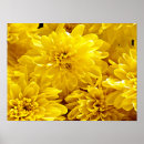 Recherche de fleurs fraîches posters Maison