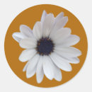 Recherche de purple envelope sceaux autocollants Blanc