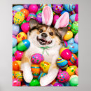 Suche nach lustiger osterhase poster Avanti press