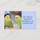 Recherche de bouchon cartes visite Jaune