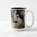 Recherche de malamute tasses Neige