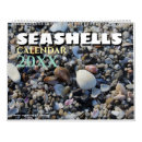 Suche nach muscheln kalender Ozean