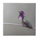 Suche nach hummingbird fliesen Flügel