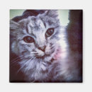 Recherche de animaux de compagnie magnets Image