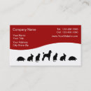 Recherche de felines cartes visite Animaux familiers