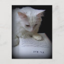 Suche nach lustige jagd andere postkarten Katze