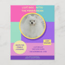 Suche nach vermisst poster Vermisster hund