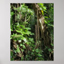 Suche nach tropischer regenwald poster Hawaii