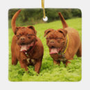 Recherche de dogue de bordeaux ornements Chien