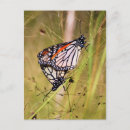 Recherche de accouplement cartes postales Amour