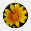 Recherche de marguerite jaune ornements Fleur