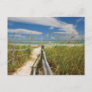 Suche nach bahia honda poster Natur