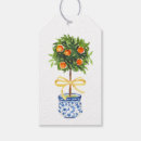 Recherche de arbre orange Oranger