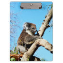 Recherche de koala porte blocs Faune