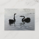 Suche nach schwarzer schwan visitenkarten Modern
