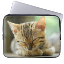 Suche nach miezekatze laptop schutzhüllen Kätzchen