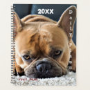 Recherche de bouledogue bureau fournitures Chien