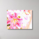 Suche nach stargazerlilie Blume