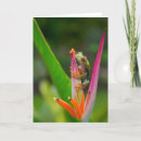 Suche nach grüne augen karten Frosch