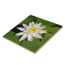 Suche nach lotus fliesen Pflanze