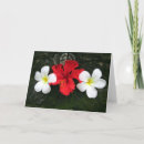 Suche nach frangipani karten Pflanze