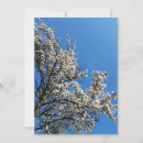 Suche nach blühender baum karten Natur