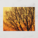 Recherche de vides cartes postales Nature