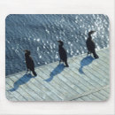 Suche nach kormoran mousepads Tierwelt