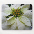 Recherche de christmas tapis souris Photographie