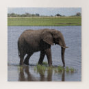 Suche nach elefanten puzzle Tiere