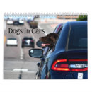 Recherche de voitures bureau fournitures Chien