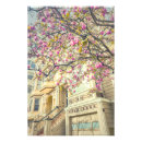 Suche nach magnolienbaum poster Blüten