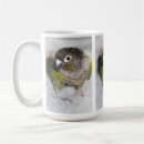 Recherche de perroquet vert tasses Mignon